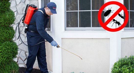 Çandarlı Tahtakurusu İlaçlama böcek ilaçlama ve haşere kontrolü — ilaclama-tr.com